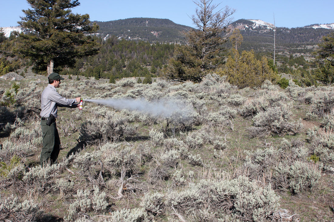 How to Use Bear Spray